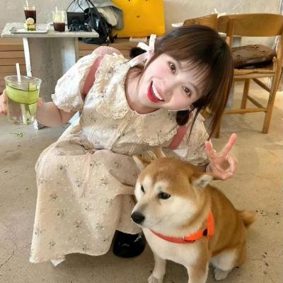 战火浮生录